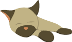 Susan